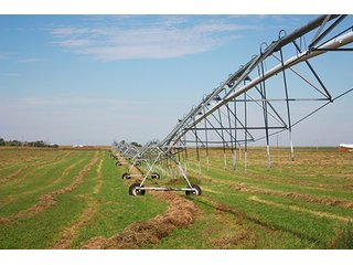 Property photo 9 - LAND AUCTION, 3255+/- Acres offered in 13 Tracts